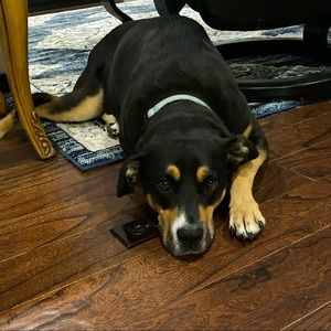 Meet your Posher, Tiffany